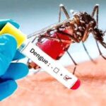 2026 මේ දක්වා ඩෙංගු මරණ 04ක් – රෝගීන් 13,416ක්